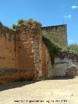 Muralla de Niebla. Torre Norte IX. Situacin