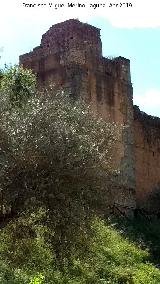 Muralla de Niebla. Torre Norte XI. 