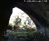 Yacimiento de la Cueva de Valdecuevas. 