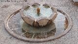 Fuente del Psito. 