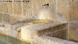 Fuente de San Rogelio. Grifo