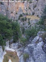 Arroyo Parrilla. Cerca de su desembocadura en el ro Quiebrajano