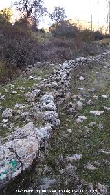 Caada de los Habares. 