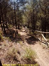 Sendero del Pecho de la Fuente y Cueva Palomera. 