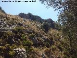 Cerro de la Fuente o Susana. 