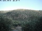 Sierra de la Grana. Desde el Camino Viejo de Martos a Valdepeas