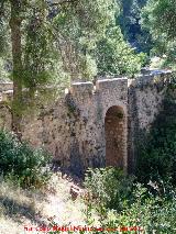 Puente del Arroyo del Campillo Arenas. 