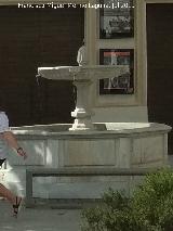 Fuente de Santo Domingo. 