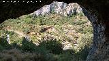 Pinturas rupestres de Pla de Petracos. Cueva. 