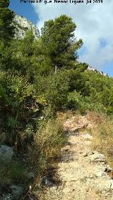 Camino de la Cueva del Agua. 