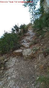 Camino de la Cueva del Agua. 