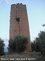 Torre Norte de Santa Catalina. 