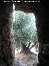 Torre Norte de Santa Catalina. Puerta desde el interior