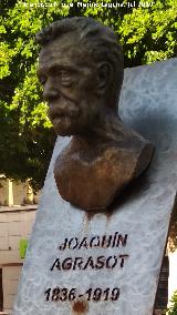 Monumento a Joaqun Agrasot. Busto