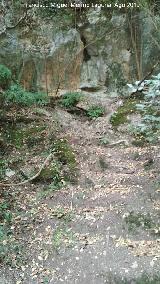 Fuente de Agustn y Pepa. Escaleras hacia el nacimiento