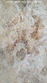 Pinturas rupestres y cazoletas Abrigo Trepada del Clarillo III. Panel