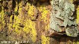 Pinturas rupestres y grabados de la Graja de Miranda II. Abrigo