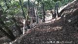 Manantial del Arroyo del Batn. 