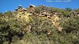 Liquen amarillo - Pleopsidium oxytonum. El Cimbarrillo - Aldeaquemada
