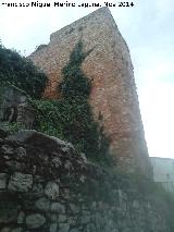 Muralla de la Villa. Torren de la Calle Real. 