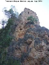 Castillo Puente Honda. 