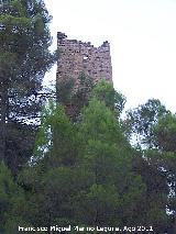 Castillo Puente Honda. 