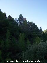 Castillo Puente Honda. 