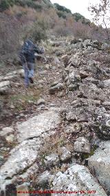 Trocha de Carboneros. 