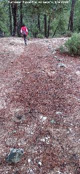 Sendero Fuente del Oso - Puente de las Herrer�as. Restos del antiguo camino