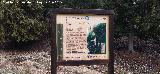 Casa Forestal El Sacejo. Cartel de senda