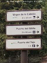 Casa Forestal El Sacejo. Sendas