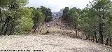 Cerro de la Torquilla. Cortafuegos de la ladera este
