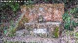 Fuente C�fano. 