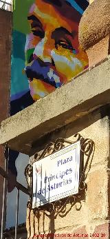 Plaza Pr�ncipes de Asturias. Placa