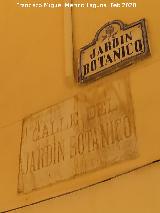 Calle Jard�n Bot�nico. 