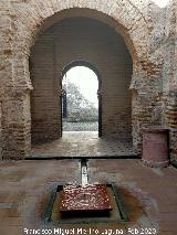 Alc�zar de Jerez. Mezquita. Patio de abluciones