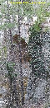 Puente de las Vegetas. 