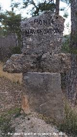 Hito del Monte Navahondona. 