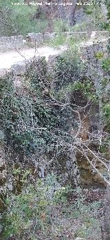 Puente del Arroyo de los Ciervos