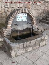 Fuente de la Piscina. 