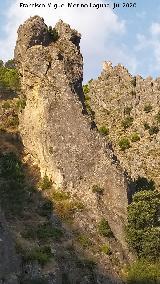 Muela de la Mocha. Al fondo el Torre�n de la Quebrada