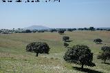 Monasterio Casera de Don Bernardo. Antiguos campos de cultivo del monasterio