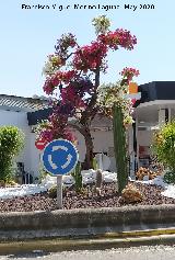 Rotonda de los Bomberos. 