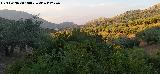 La Venta. 