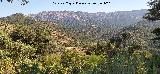 Mirador Cerro del Plomo. Vistas