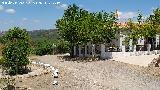Casa de los Pantalones Maceta. 