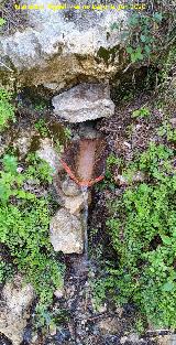 Fuente de la Teja Bonales. 