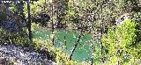 Pantaneta del Arroyo del Hombre I. 
