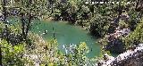 Pantaneta del Arroyo del Hombre I