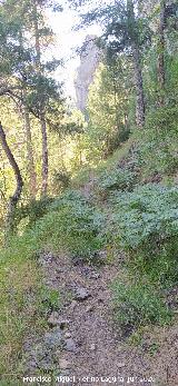 Camino de las Grajas. 
